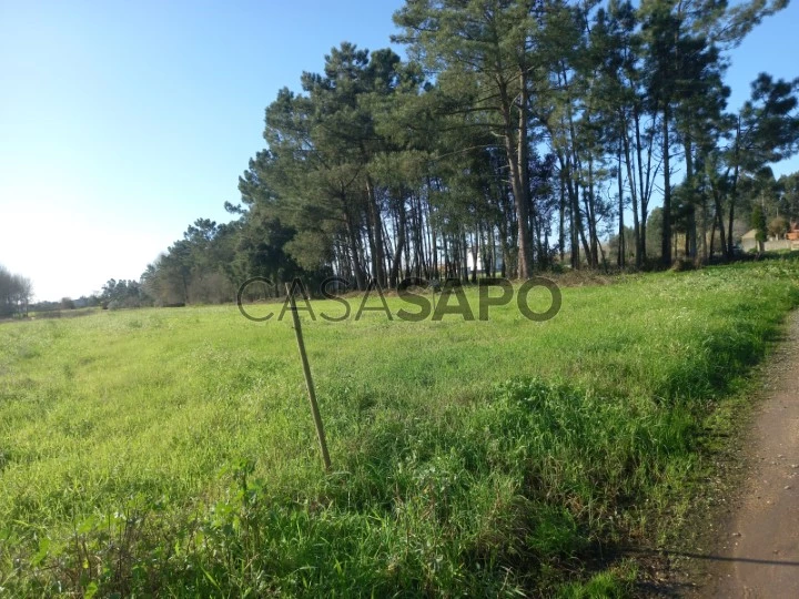 Terreno para comprar em Oliveira do Bairro