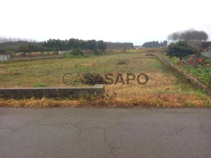 Terreno para comprar em Oliveira do Bairro