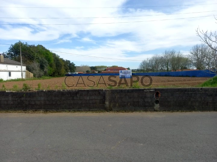 Terreno para comprar em Oliveira do Bairro