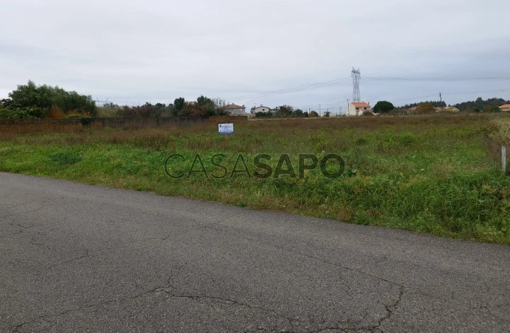 Terreno para comprar em Oliveira do Bairro