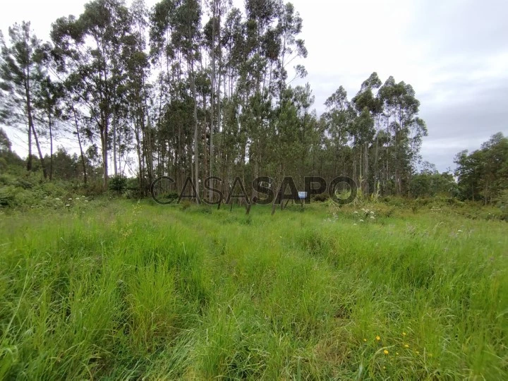 Terreno para comprar em Oliveira do Bairro