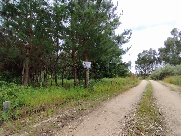 Terreno para comprar em Oliveira do Bairro