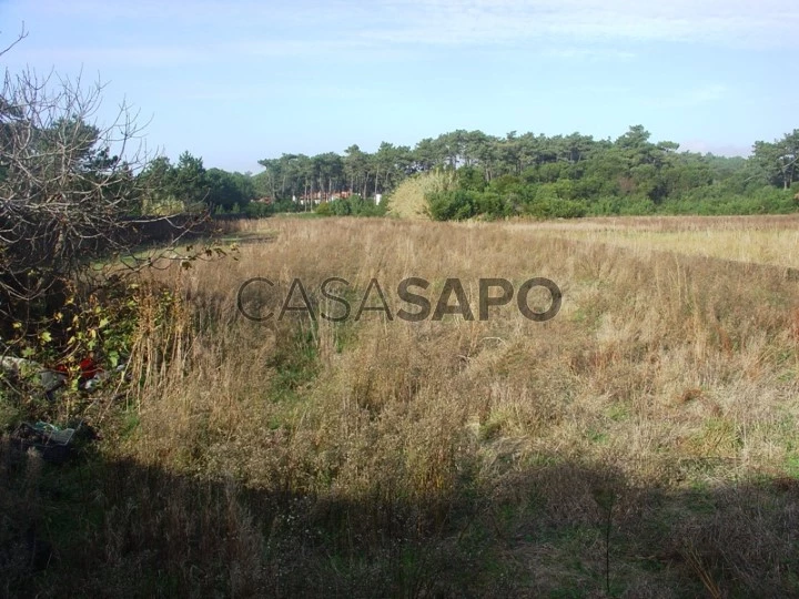 Terreno Urbano para comprar em Esposende