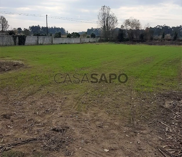 Terreno para construção - Fonte Boa