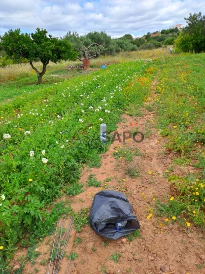 Terreno para comprar em Castro Marim