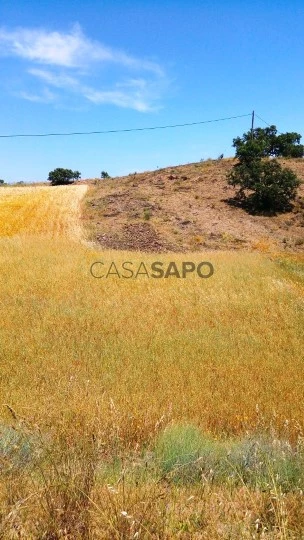 Terreno Rústico para comprar em Castro Marim