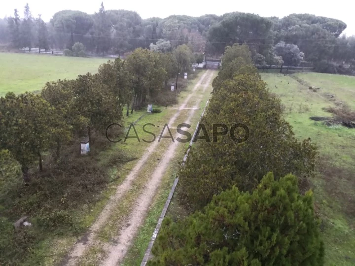 Quinta de Vera Cruz avec 21 Ha, à 30 min de Montijo, possibilité de construire 30000 m2