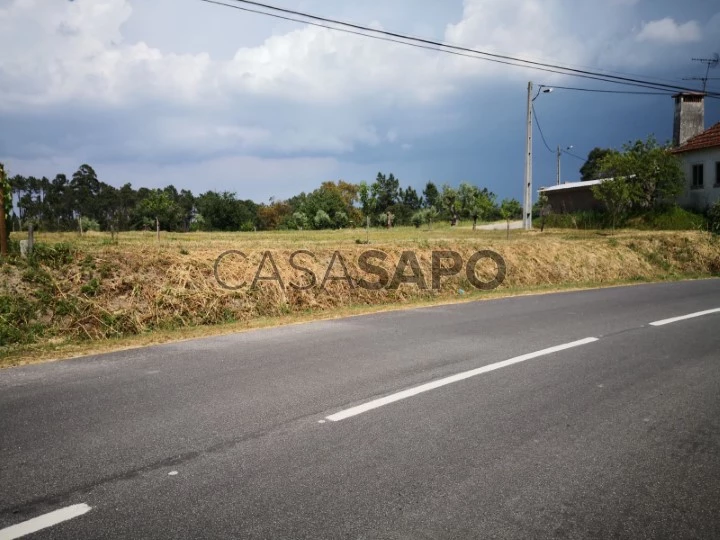 Espectacular terreno com uma grande frente e prado para animais, perto de Fatima