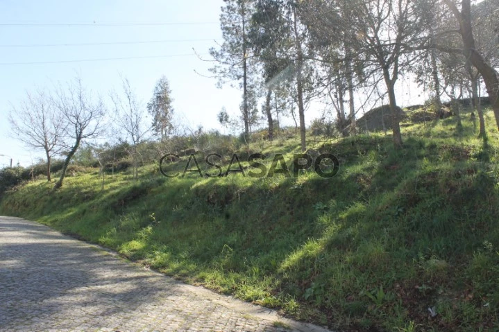 Terreno Rústico para comprar em Guimarães