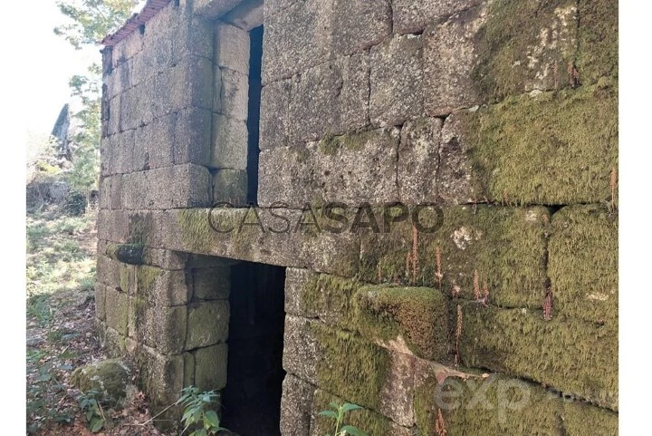 Estúdio para comprar em Celorico de Basto