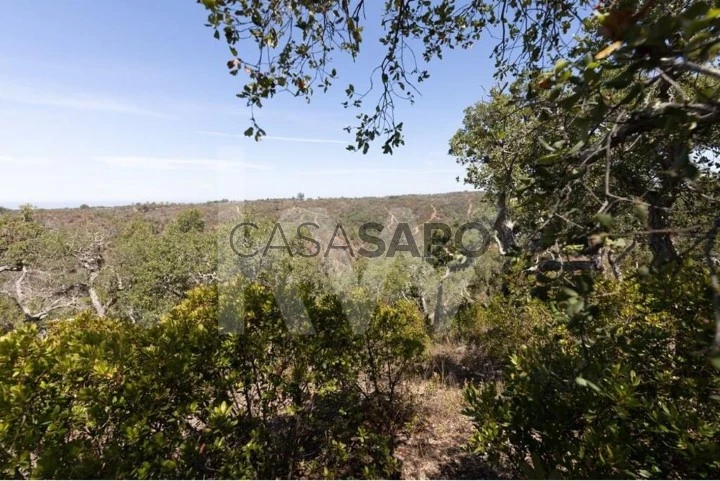 Terreno para comprar em Santiago do Cacém