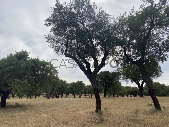 Herdade de Montado no Vimieiro Évora