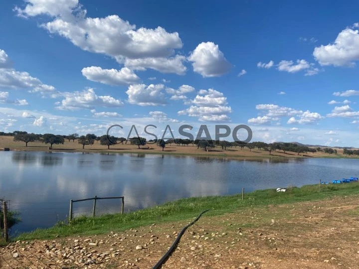 Terreno Misto para comprar em Campo Maior