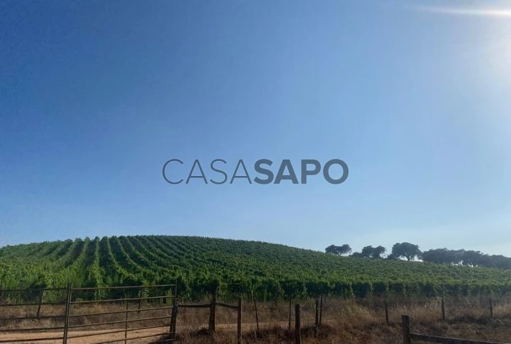 Herdade em Montemor-o-Novo, Alentejo | 317 Hectares |