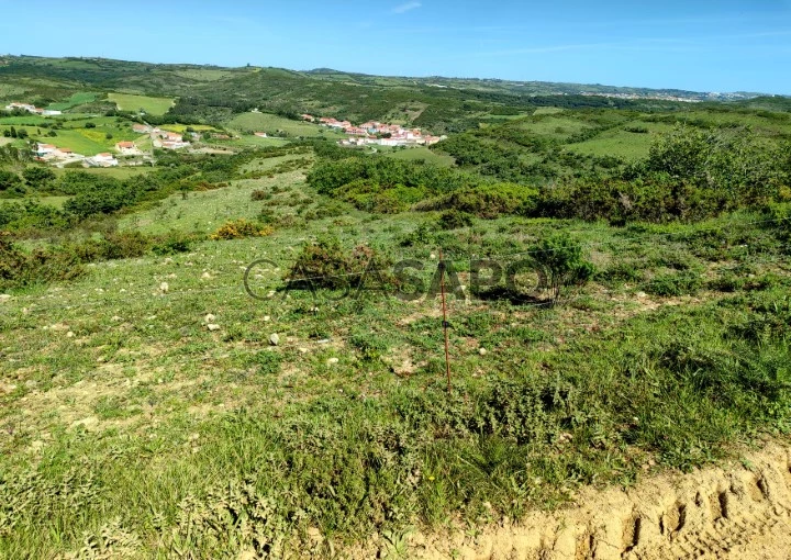 Terreno Rústico para comprar em Arruda dos Vinhos