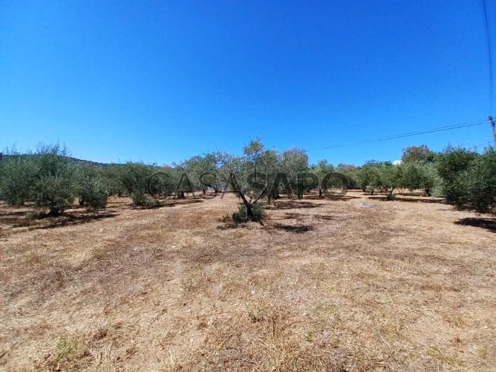 Terreno para comprar em São Brás de Alportel