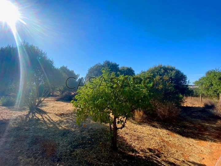 Terreno para comprar em Loulé