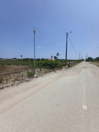 Terreno Urbano para comprar no Montijo