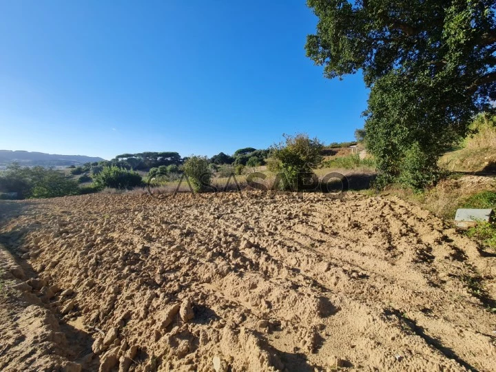 Terreno Rústico com 800m2 na Vila Franca do Rosario, Mafra.