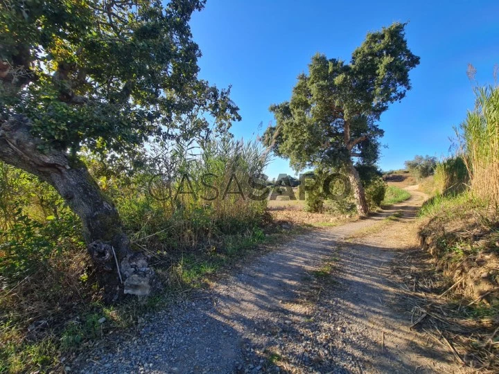 Terreno para comprar em Mafra