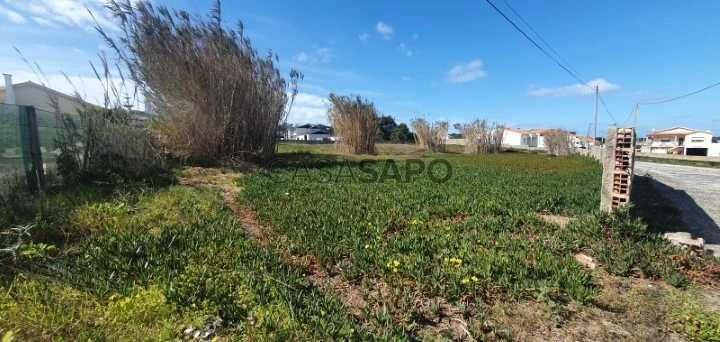 Terreno para comprar em Torres Vedras