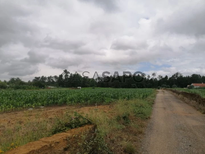 Terreno Urbano para comprar em Oliveira do Bairro