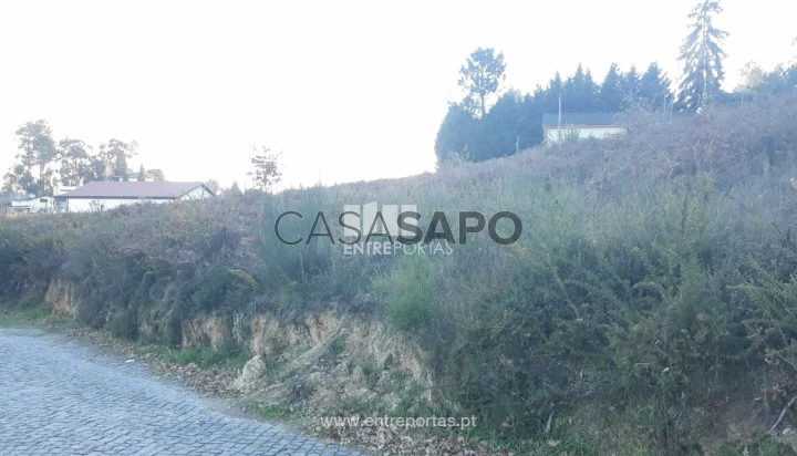 Terreno T1 para comprar em Penafiel