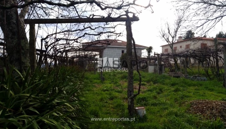 Terreno T1 para comprar em Penafiel