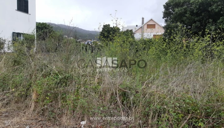 Terreno T1 para comprar em Caminha