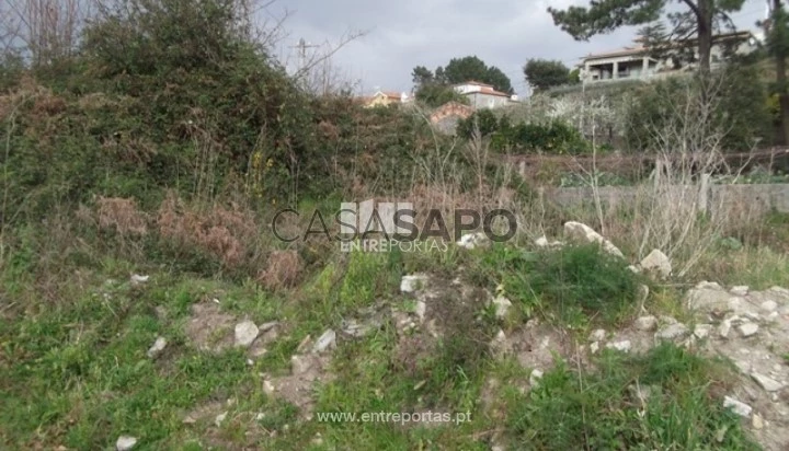 Terreno T1 para comprar em Caminha