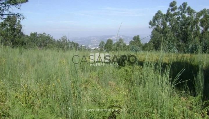 Terreno T1 para comprar em Marco de Canaveses