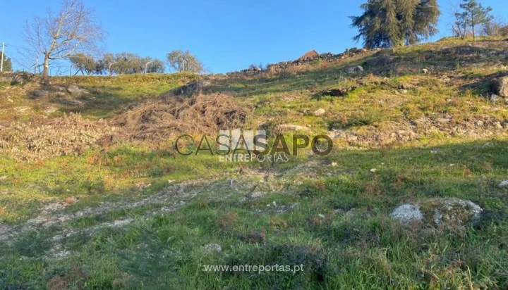 Terreno T1 para comprar em Marco de Canaveses