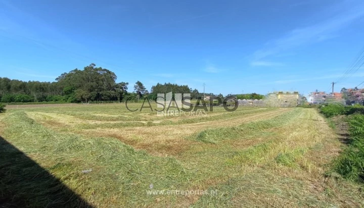 Terreno T1 para comprar em Vila do Conde