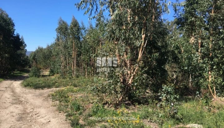 Terreno T1 para comprar em Vila Nova de Cerveira