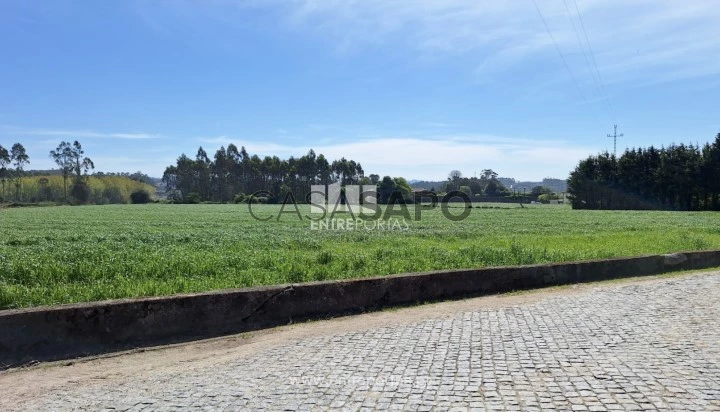 Terreno T1 para comprar em Vila do Conde