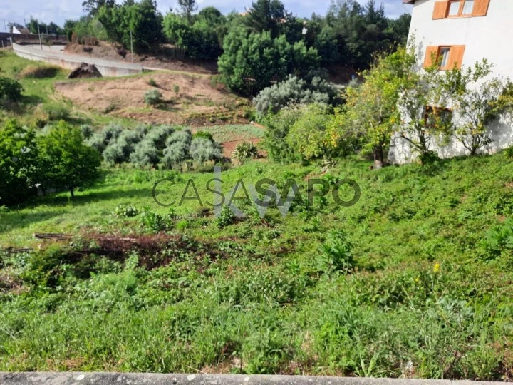 Terreno para comprar na Mealhada