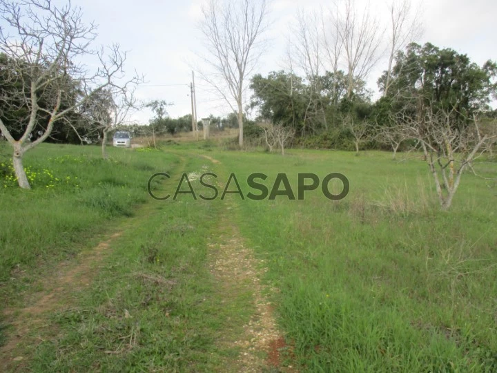 Terreno para comprar em Vila Nova da Barquinha