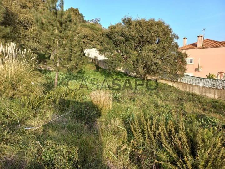 Terreno Urbano para comprar em Mafra