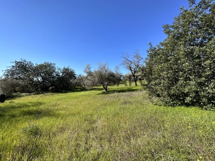 Lote para Construção para comprar em Loulé