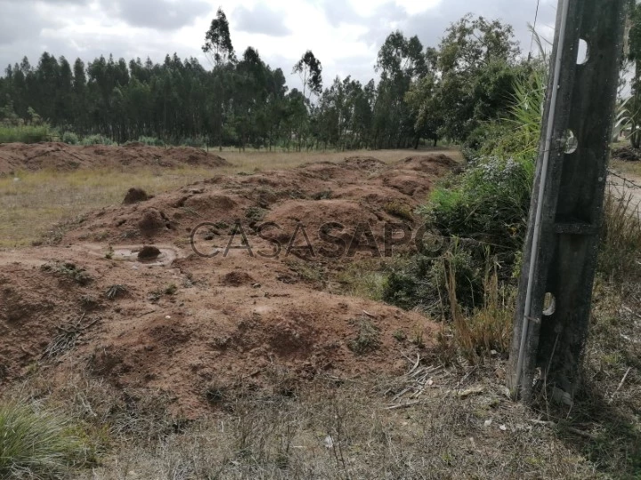 Terreno Rústico para comprar na Nazaré