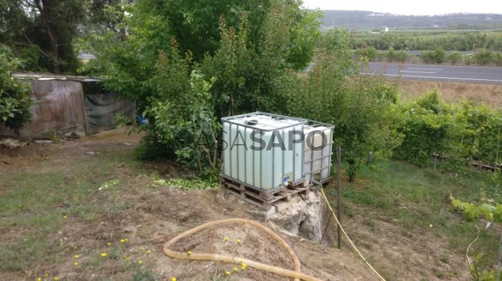 Terreno para comprar em Alcobaça