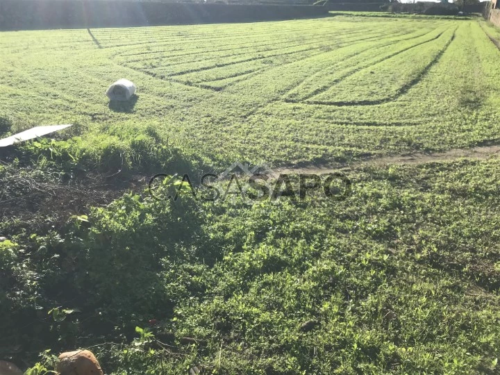 Terreno para comprar em Póvoa de Varzim