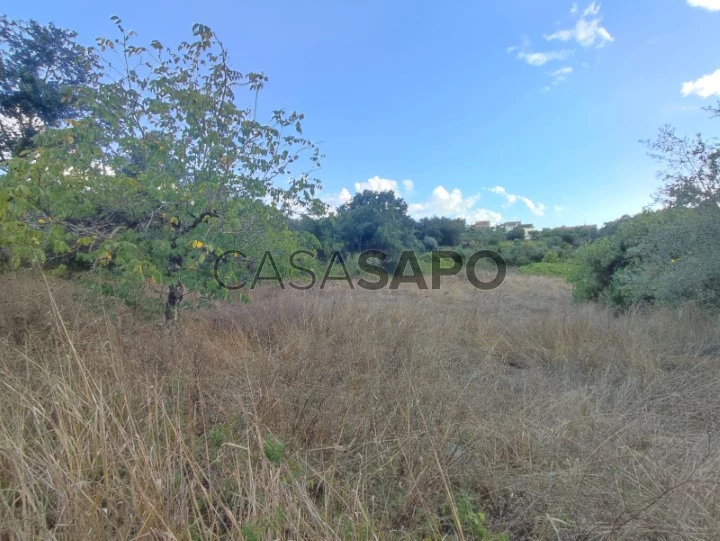 Terreno para comprar em Ferreira do Zêzere