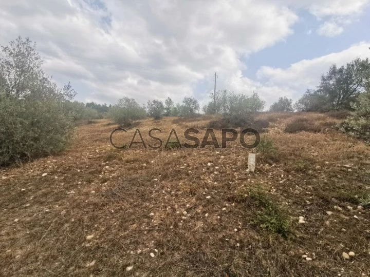 Terreno Urbano para comprar em Vila Nova da Barquinha