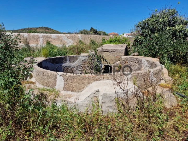 Terreno Rústico para comprar em Vila do Bispo