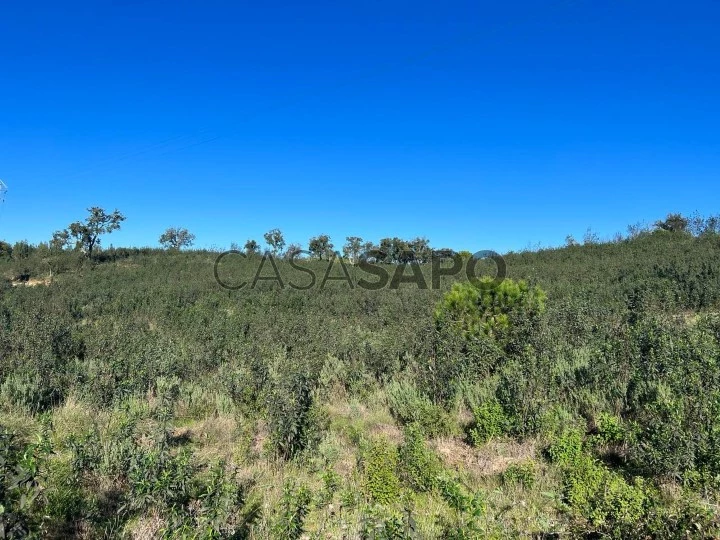 Terreno para comprar em Santiago do Cacém