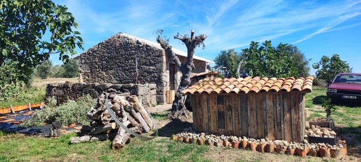 stone house (urban 50m2) and wood shed