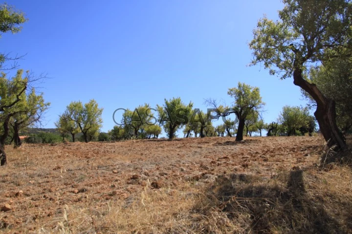 Terreno,Estoi,Faro