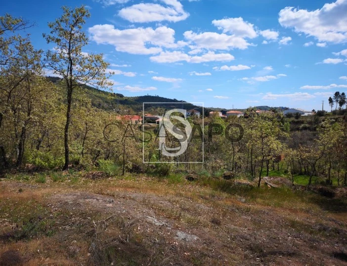 Terreno para comprar em Belmonte