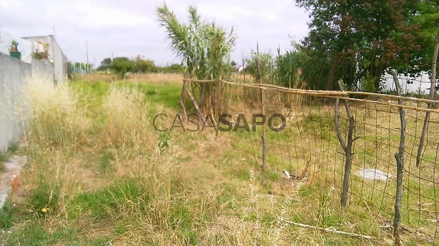 Terreno para comprar em Ílhavo